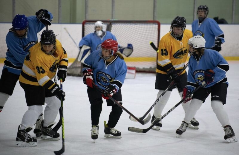 Adult Hockey Programs - Sno-King Ice Arenas